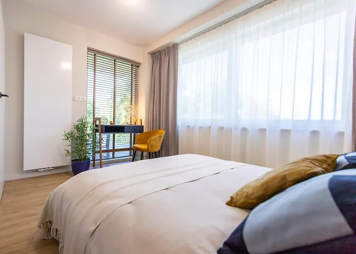 Apartament Navigare *